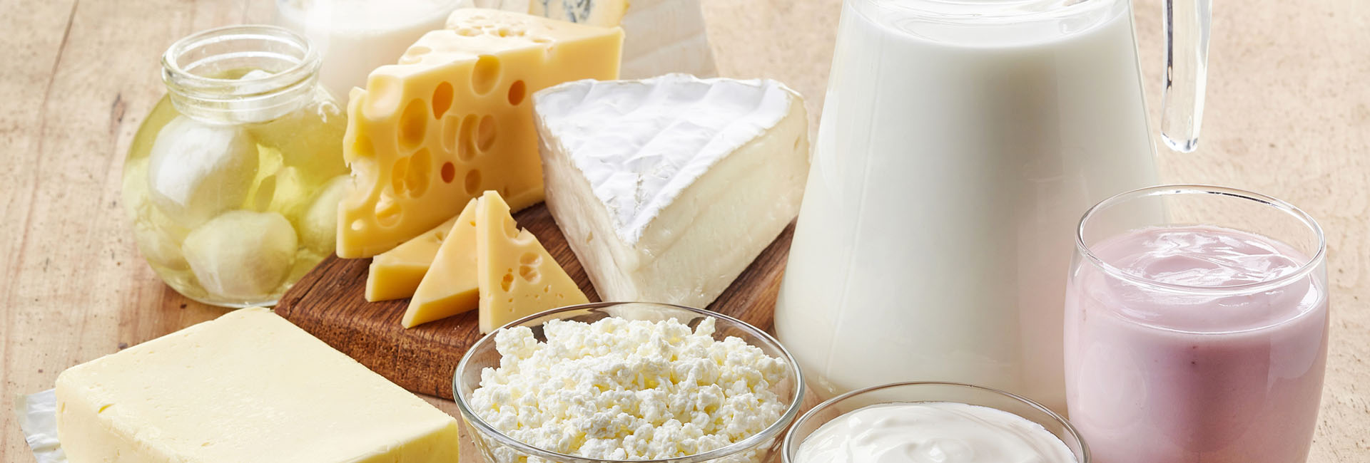 Dairy Powders