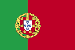 Portuguese Flag