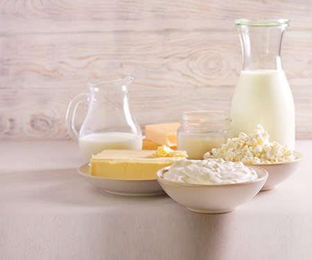 Dairy Powders