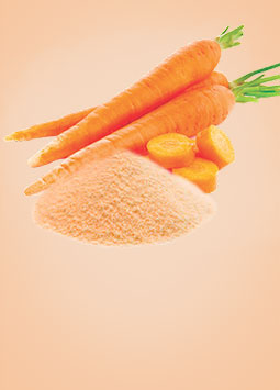 Carrot Powder