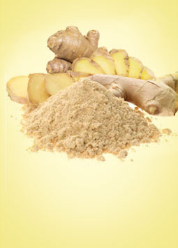 Ginger Powder