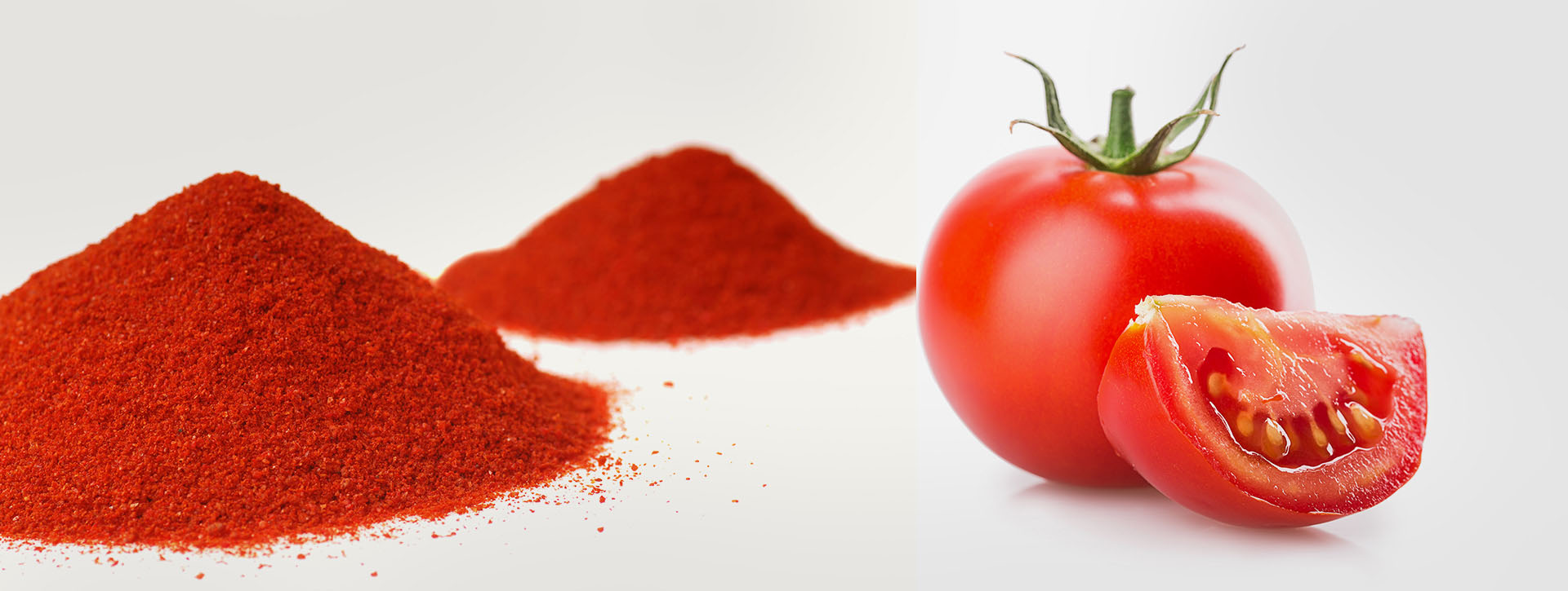 Tomato Powder Banner